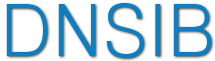 DNSIB.org